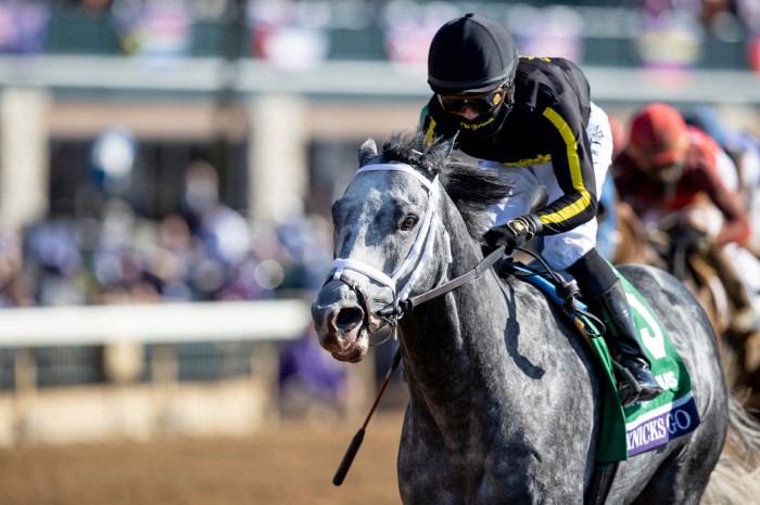 [경마]혈통이 역사를 만든다… 제2의 메니피 꿈꾸는'닉스고'
