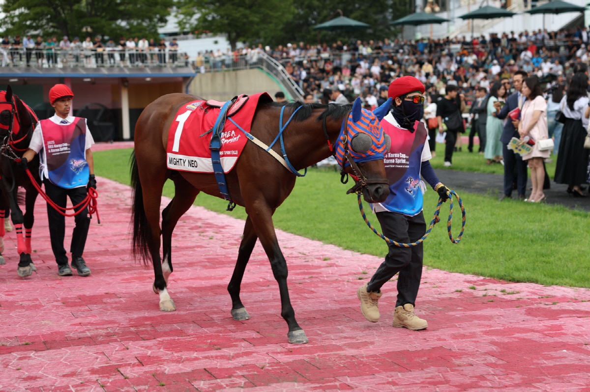 [경마]내로라하는 강자 총출동… 렛츠런파크 서울 1400m 1등급 경주 …