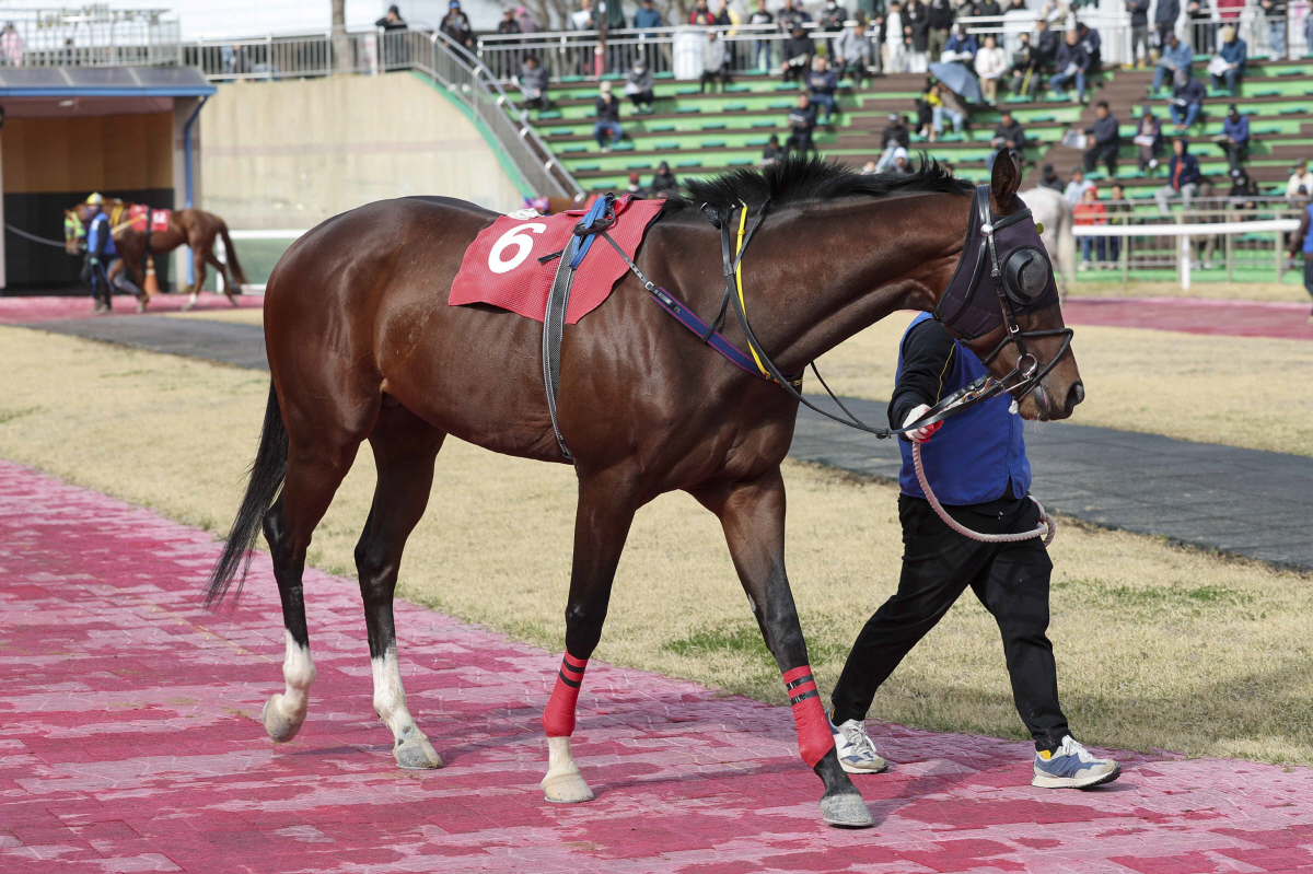 [경마]내로라하는 강자 총출동… 렛츠런파크 서울 1400m 1등급 경주 …