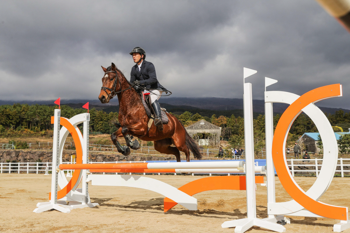 [경마]2026년 은퇴경주마 승용전환 지원사업 1차 신청 접수
