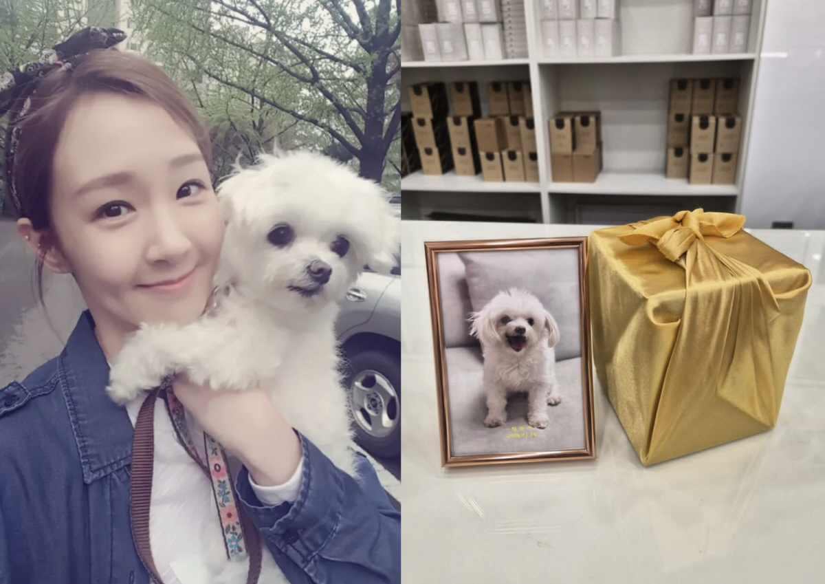 오정연, 갑작스러운 비보에 오열 "집에 오니 눈 뜬 채 떠나, 하염없이 …