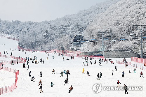 관세청, 겨울철 불량·불법제품 41만점 적발…스노보드 1위
