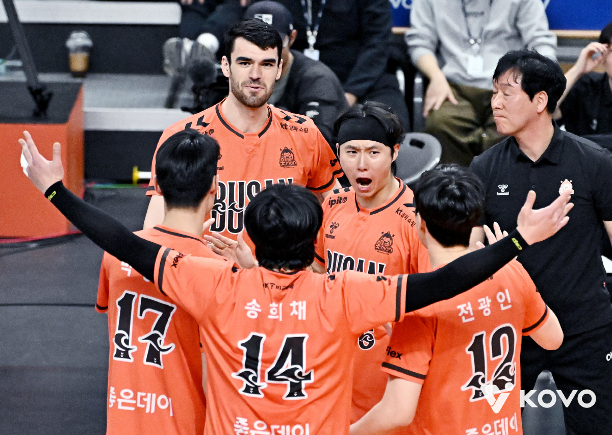 아히만 막으면 OK! OK저축은행 패패승승승 대역전승! → 삼성화재 3-…