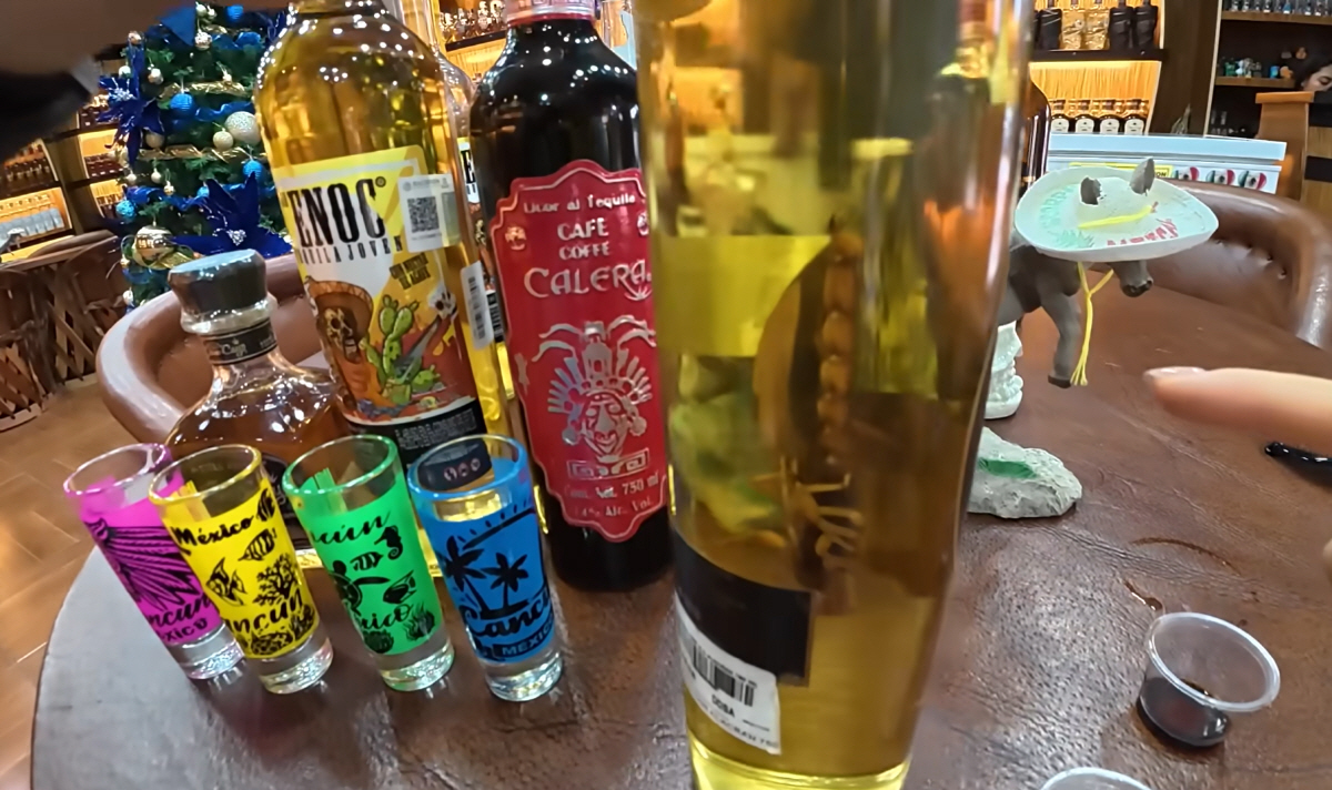 장윤정♥도경완 부부, 칸쿤 시내서 '전갈 든 데킬라' 보고 '경악'…"몸…