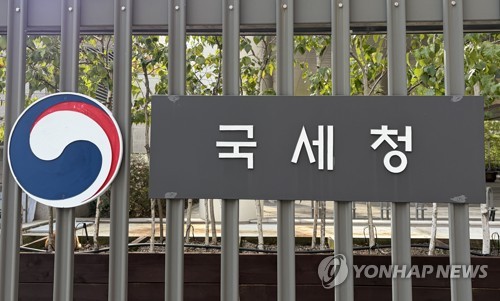 국세청, 면세사업자 167만명에 수입신고 안내…유튜버 첫 포함