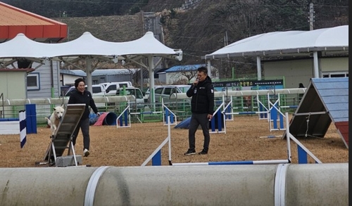 [진도소식] 진도개 올해 공연, 31일 시작