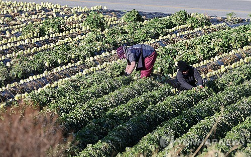 농식품부, 2030년까지 농업 공공 인력공급 비중 60%로 확대
