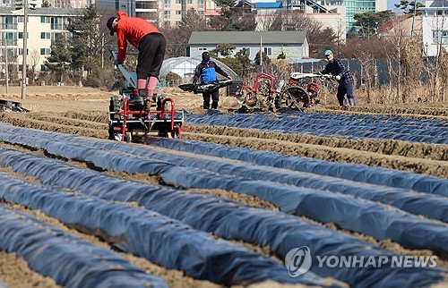 (강릉=연합뉴스) 유형재 기자 = 봄기운이 완연한 27일 강원 강릉시 송정동 들녘에서 농민과 외국인 노동자들이 감자를 심기 위한 준비로 바쁜 모습이다. 2025.2.27 yoo21@yna.co.kr