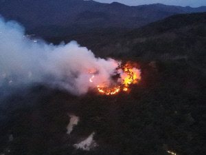 울산 작천정 산불 2시간 만에 주불 진화…