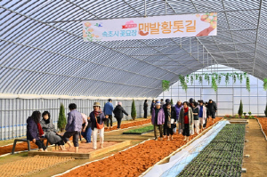 '겨울에는 따뜻한 비닐하우스서 걸어요'…속초 맨발 황톳길 인기