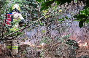 제주 삼달리 풍력발전기 인근 야초지서 불…인명피해 없어