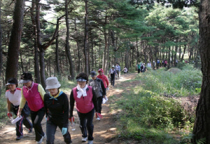 오랍드리산소길 걷고 선물 받고…삼척시, 완주 인증 콘텐츠 추진