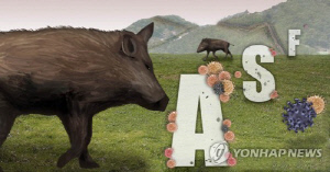 고령군, 멧돼지 등 유해 동물 피해방지단 운영…12월까지