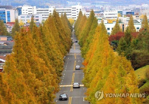 '창원 가로수길' 핫플로 키운다…시, 브랜드 정체성 공모