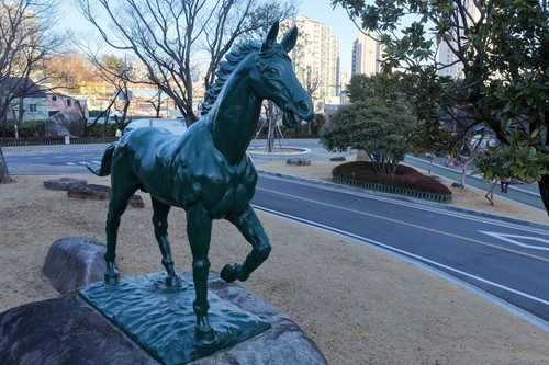 '마금산·한마·추산동'…창원시, 말 지명 관광자원 활용한다