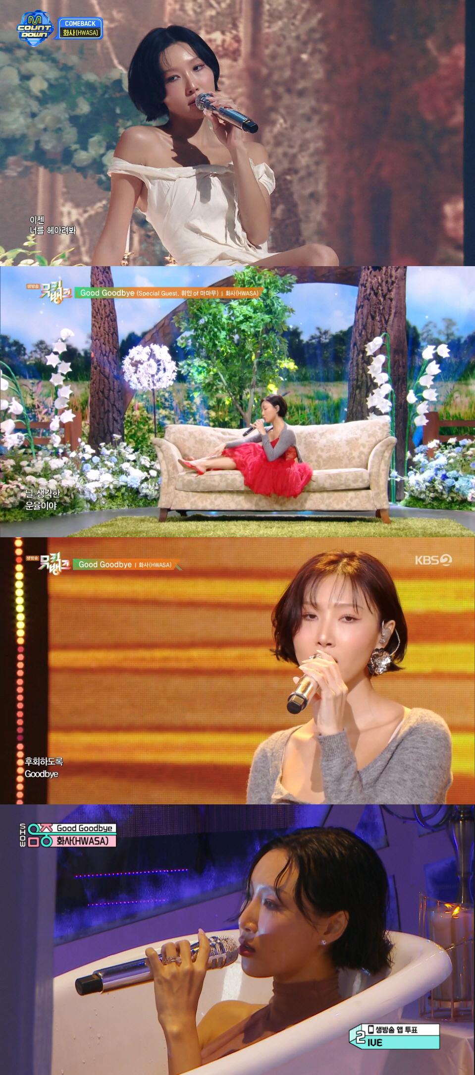 [정빛의 그저, 빛] 다시 피어난 '화사'라는 꽃