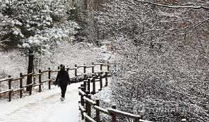 강추위 속 전국 곳곳 눈…제주 산지 최대 25㎝ 적설