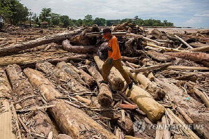 '1천178명 사망' 인니 대홍수 피해 키운 기업 28곳 허가 취소