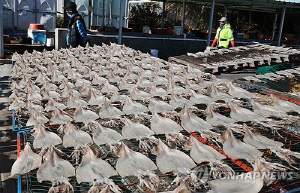 [게시판] 해수부, 부산·대전서 어촌뉴딜3.0 사업 공모 설명회