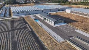 [영천소식] 스마트팜단지 아열대 작물 실증재배 참여 농업인 모집