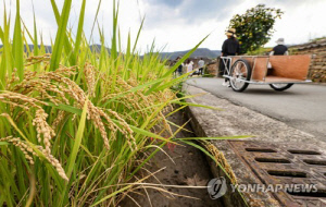 작년 농가 판매가격 2.5% 올라…구입 가격도 올라