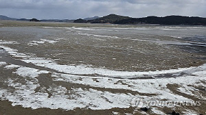[픽! 서산] 동장군 맹위에 바다도 '꽁꽁'