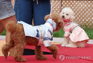 오산시, '반려동물 동반출입 음식점' 사전 점검 서비스