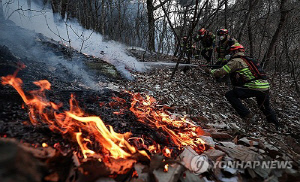 예년보다 이른 산불 발생…경북소방, 산불조심기간 앞당겨 시행