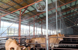제천시, 축산농가에 냉방·통풍시설 설치 지원
