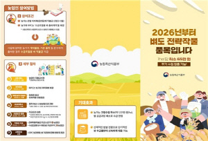 올해부터 '수급 조절용 벼' 사업…평시 가공용, 비상시 밥쌀로