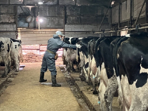 경기도, 공수의사 수당 인상·상해보험 지원 확대