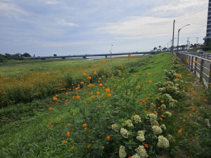 양양군, '아름다운 마을 만들기' 우수 마을 선정…강현면 최우수