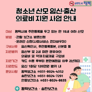 평택시, 19세 이하 청소년 산모 의료비 지원…최대 120만원