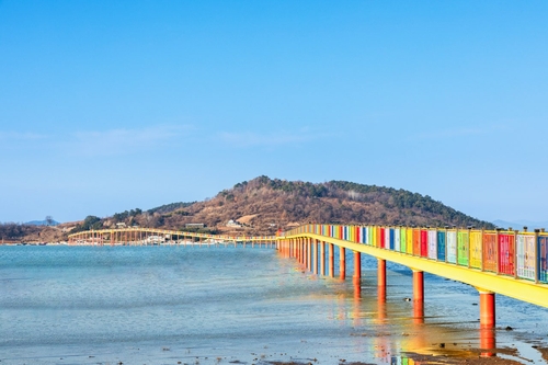 고흥군, 중앙아시아 고려인 청소년에게 고흥의 매력을 알리다