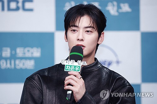 차은우, '200억 탈세' 의혹에 "확정 사안 아냐, 적극 소명"