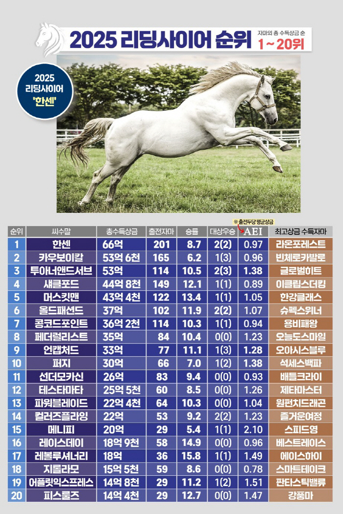 <경마> 2025년 한국경마 씨수말 결산! 독주 끝, 치열한 혈통전쟁 시작