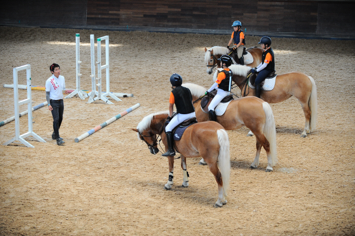 <경마>교실 밖에서도 배운다… 한국마사회, 승마교육으로 배움의 영역 확장