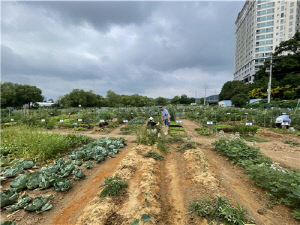 [용인소식] 시민농장 분양받을 도시농부 815팀 모집