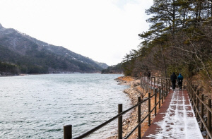 영암군, 월출산 대동·도갑제 탐방로 개통