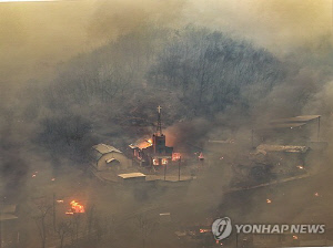 경북 산불 피해지 복구작업 더뎌…위험목 제거율 59% 그쳐