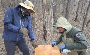 [청송소식] 주왕산국립공원, 불법 엽구 수거