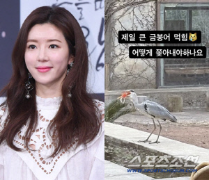 박한별 ,제주 카페에 왜가리 출몰…