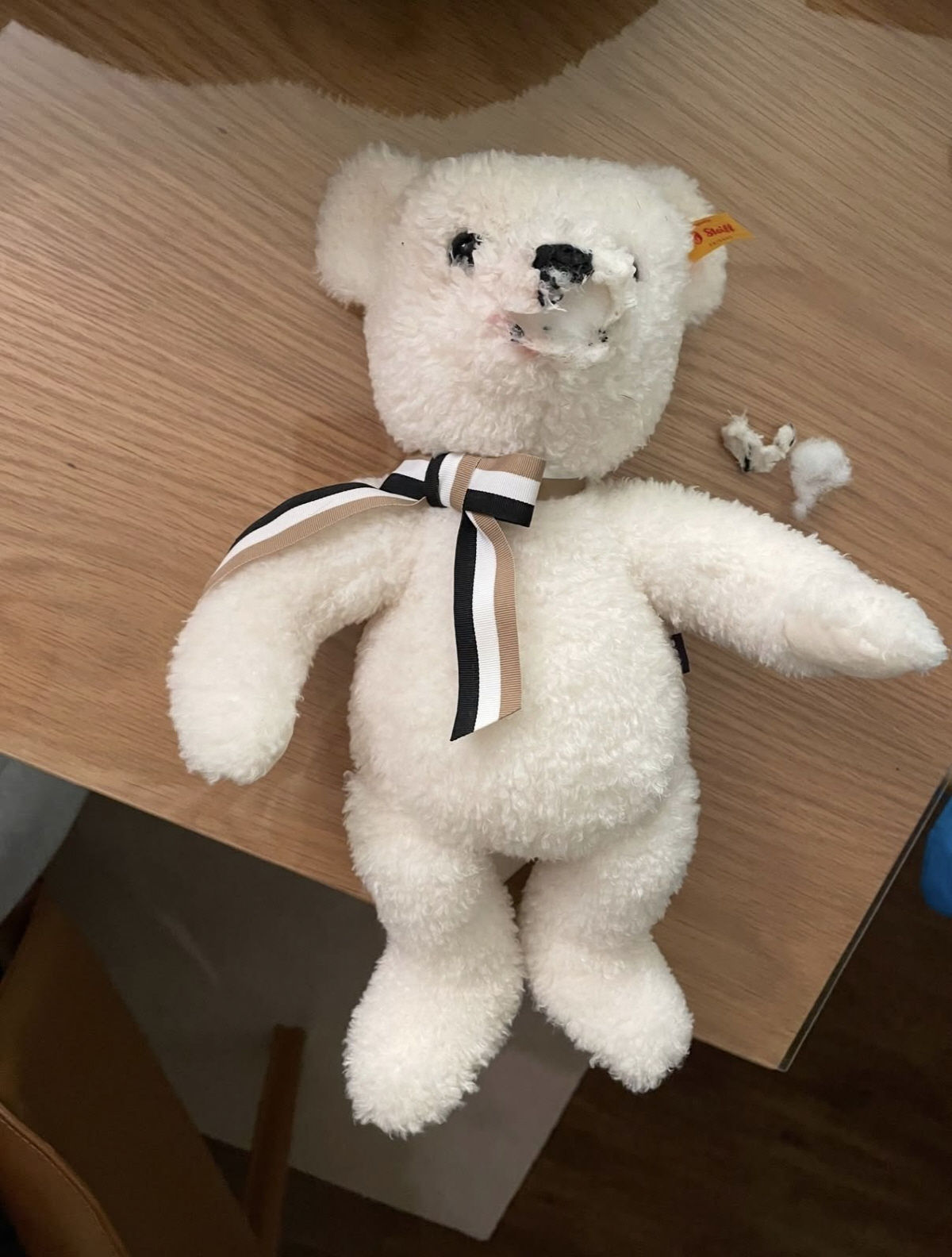 성시경, 긴급 도움 요청..“우리 집에 놀러 왔던 흑당이 실종, 연락 부…