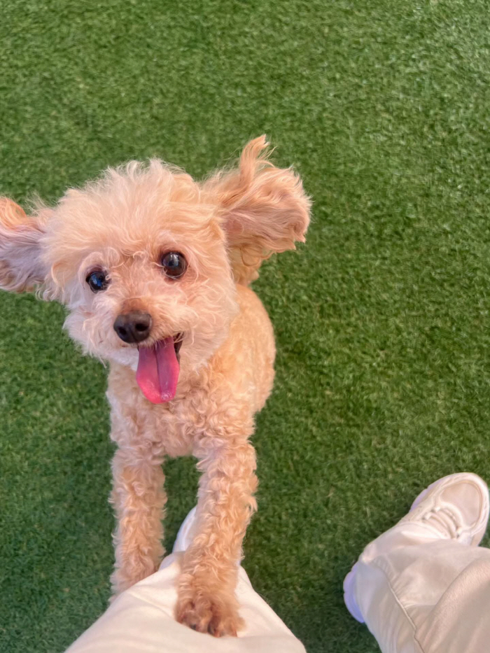 정가은 오열, 15년 함께한 아픈 가족 보며 "마음의 준비 하라는데"