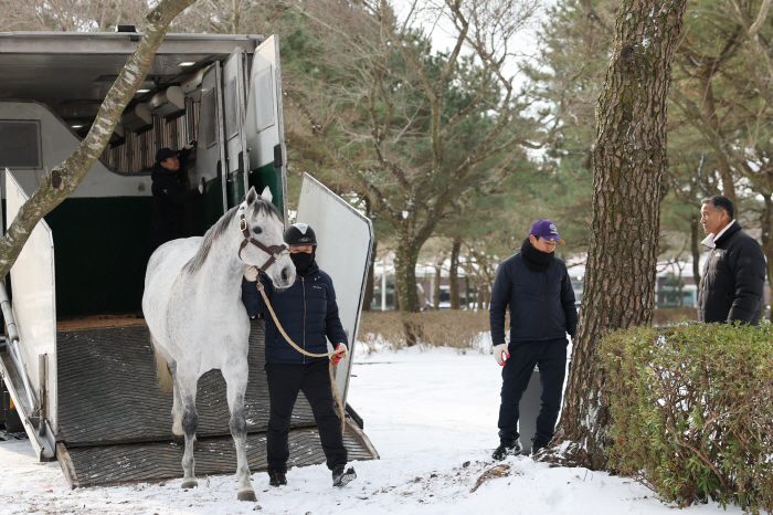 [경마] 세계 챔피언 '닉스고' 제주 입성… 한국마사회, 교배료 전액 무상 지원
