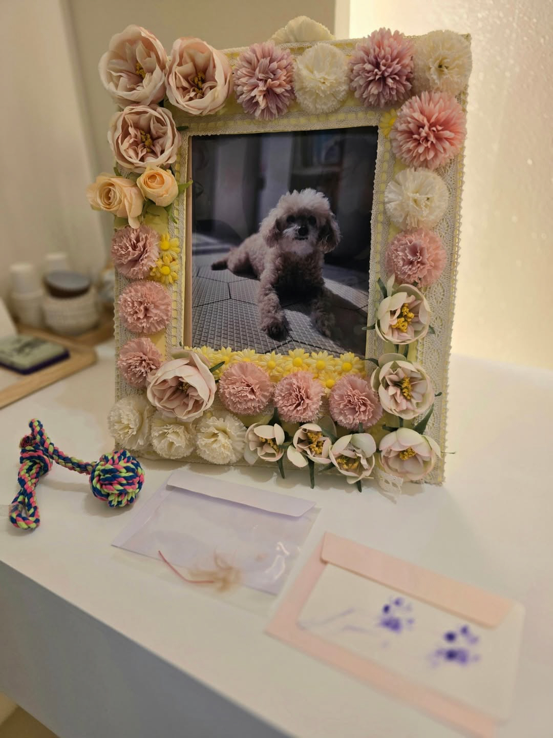 '싱글맘' 정가은, 안타까운 비보 전했다..새벽 3시 눈물의 이별