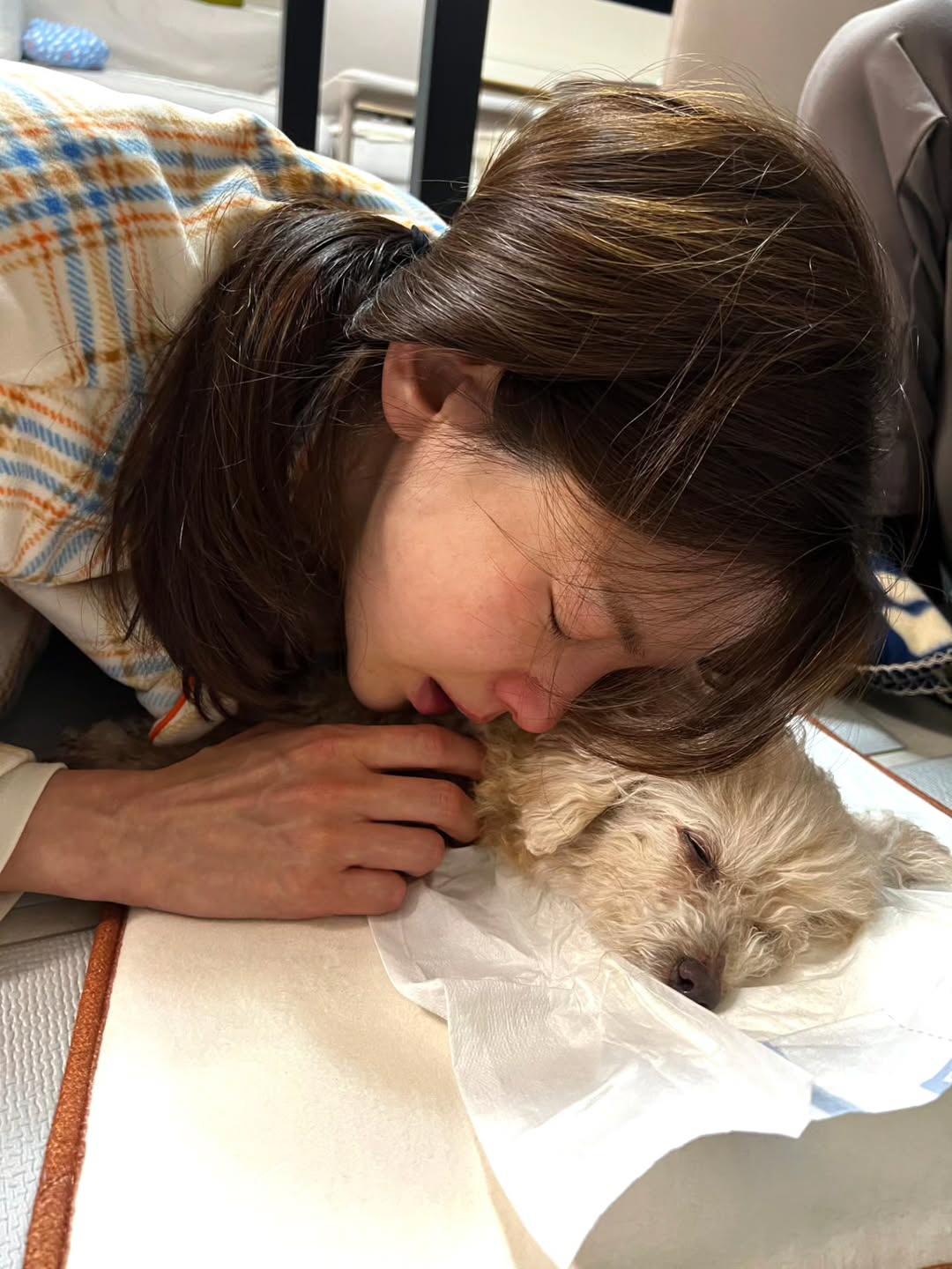 '싱글맘' 정가은, 안타까운 비보 전했다..새벽 3시 눈물의 이별