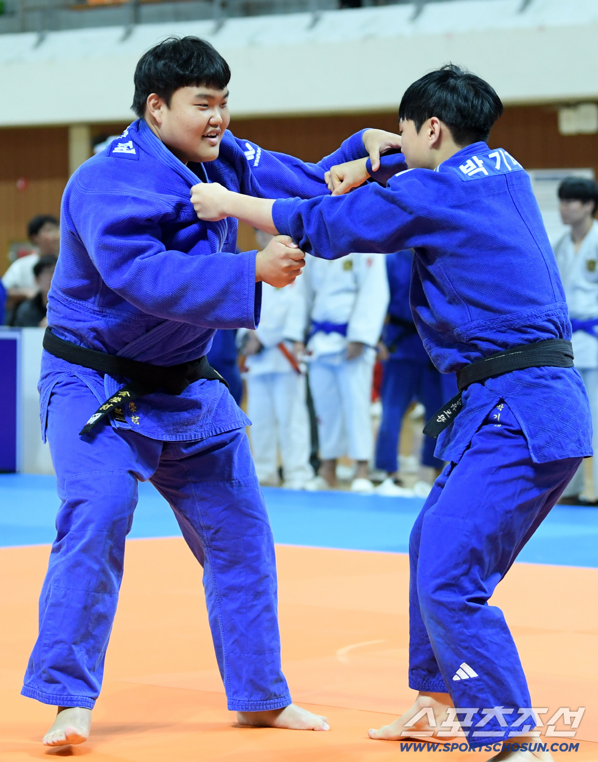 "안바울X허미미에게 배우는 업어치기 한판" '빵빵 터지는' 대전, '행복…