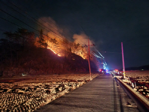 사천 야산서 불, 43분 만에 진화…인명피해 없어