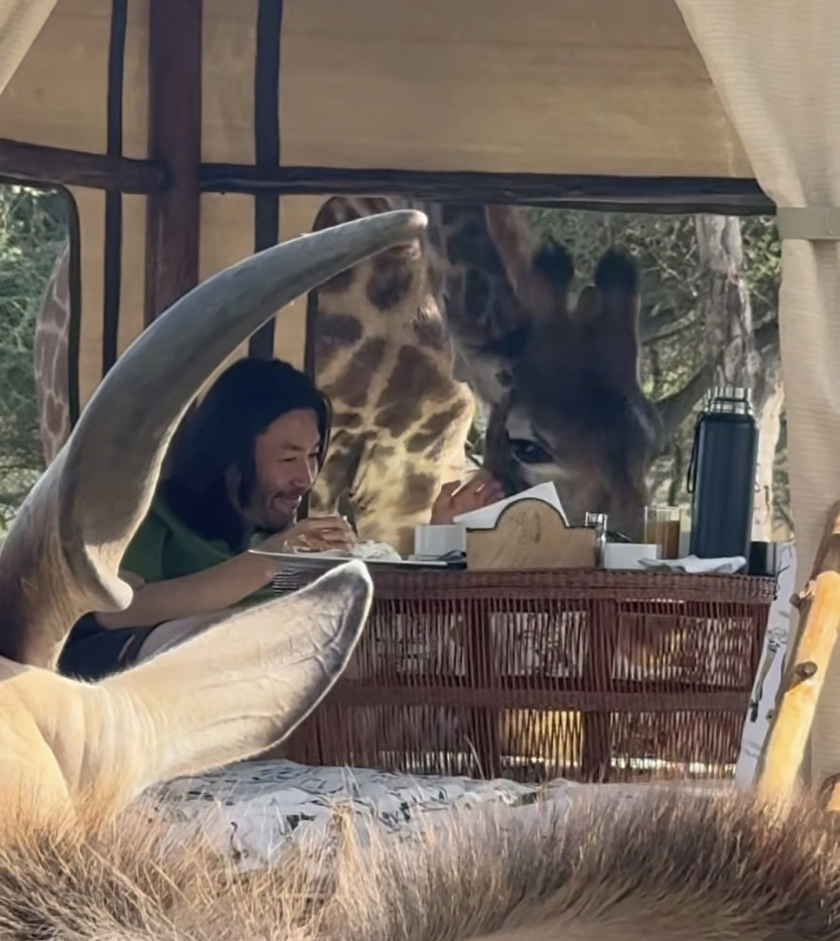 "AI 아니고 진짜" 노홍철, 사자와 걷고 기린 밥 먹이고..믿기 힘든 근황